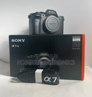 Sony A7S III Mirrorless Camera