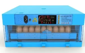 64 Eggs Automatic Incubator