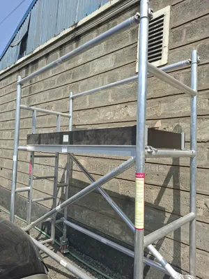 Platform Ladder