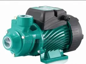 Premier 0.5Hp Peripheral Pump