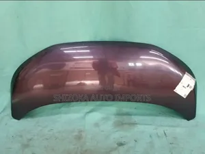 Bonnet Nissan Dayz B21w 3b20