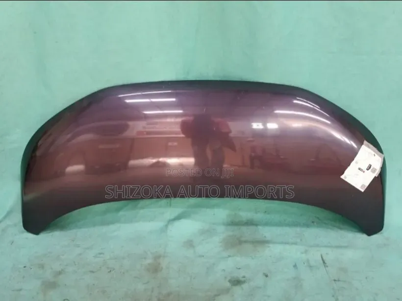 Bonnet Nissan Dayz B21w 3b20