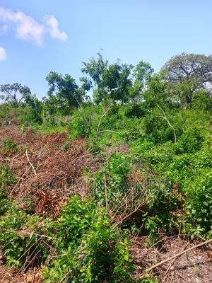 4.5 Acre Land in Galu Diani on Sale
