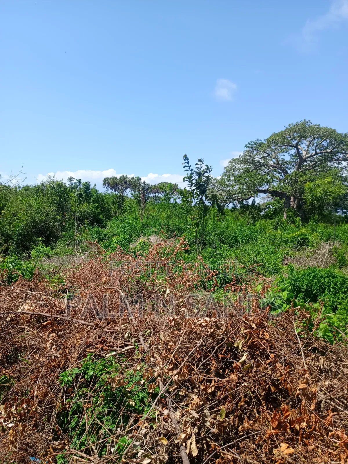 4.5 Acre Land in Galu Diani on Sale