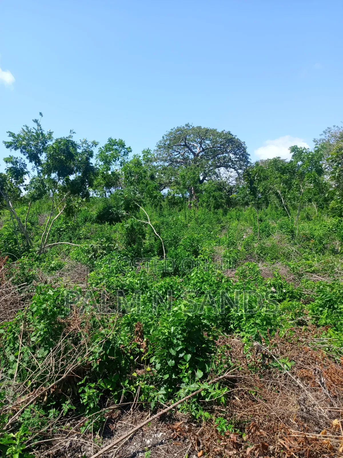 4.5 Acre Land in Galu Diani on Sale