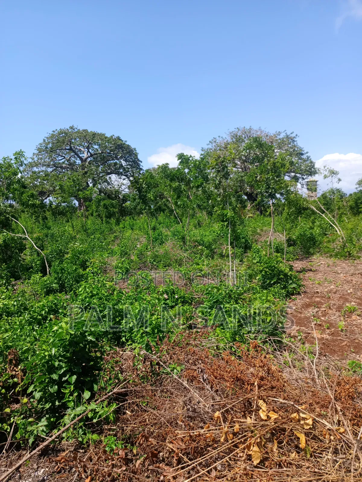 4.5 Acre Land in Galu Diani on Sale