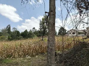 Prime Residential Quarter Acre Plot for Sale in Olkeri, Ngong