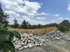 Prime Residential Quarter Acre Plot for Sale in Olkeri, Ngong