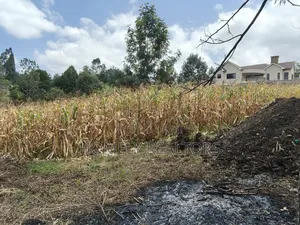 Prime Residential Quarter Acre Plot for Sale in Olkeri, Ngong