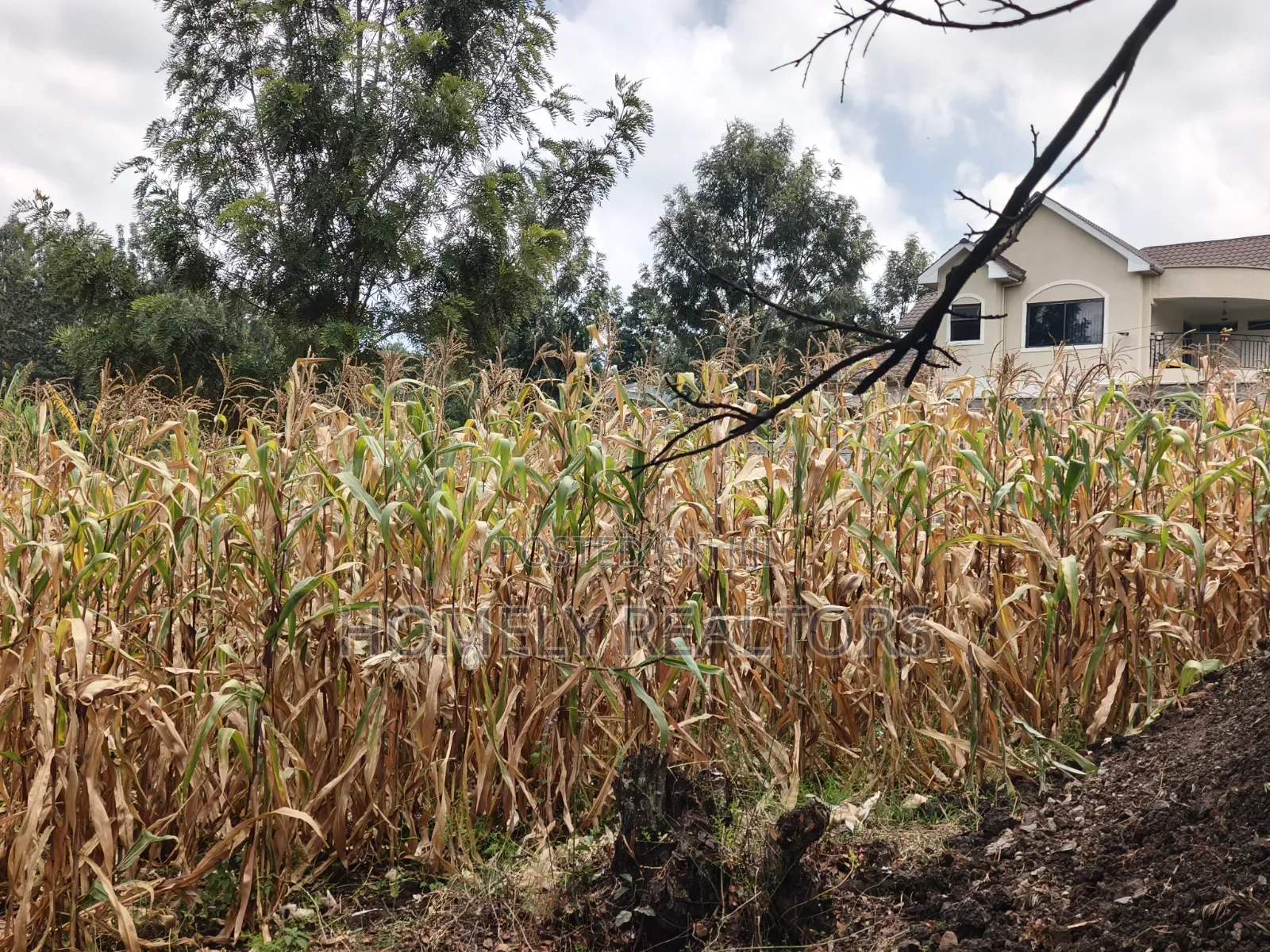 Prime Residential Quarter Acre Plot for Sale in Olkeri, Ngong