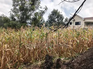 Prime Residential Quarter Acre Plot for Sale in Olkeri, Ngong