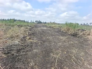 1/8 Several Plots for Sale in Rangau, Metropolitan Milimani Area.