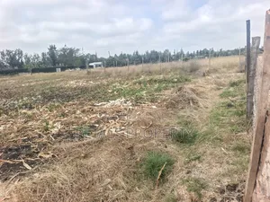 50*100 Plot for Sale in Rangau