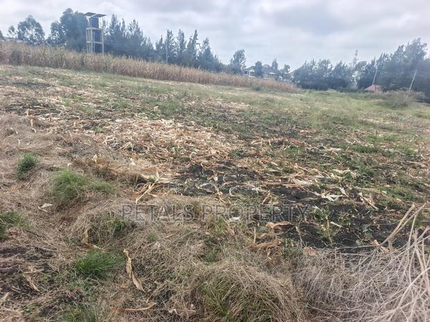 50*100 Plot for Sale in Rangau - thumbnail 2