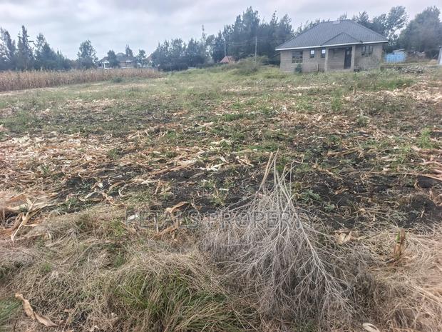 50*100 Plot for Sale in Rangau - thumbnail 3