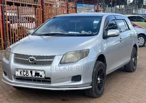 Toyota Corolla Fielder 2008 Silver
