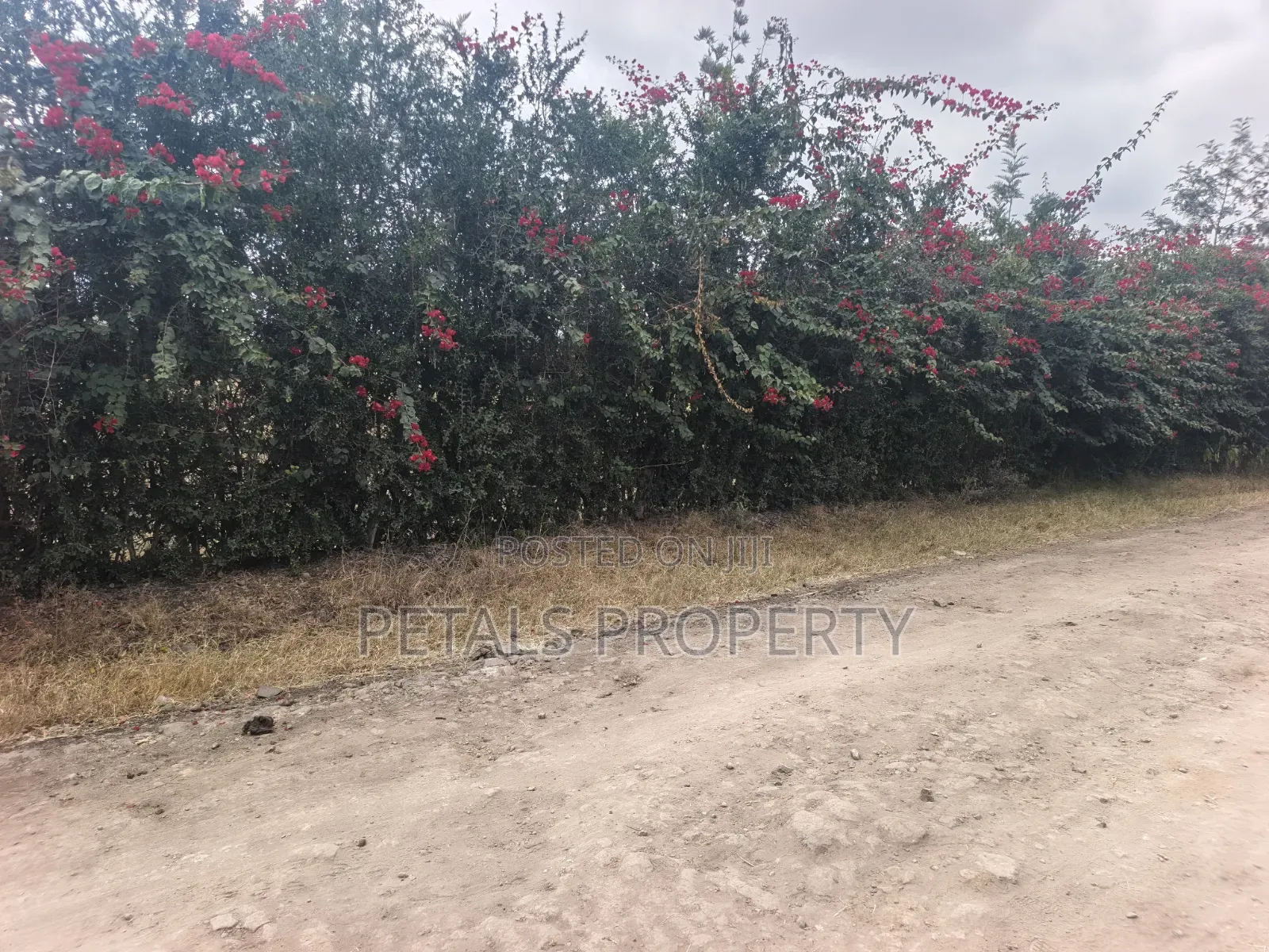 50*100 Plots for Sale in Ongata Rongai, Metropolitan Rangau