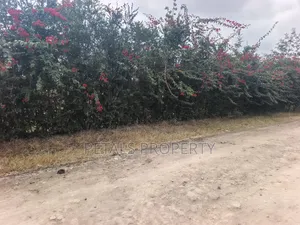 50*100 Plots for Sale in Ongata Rongai, Metropolitan Rangau