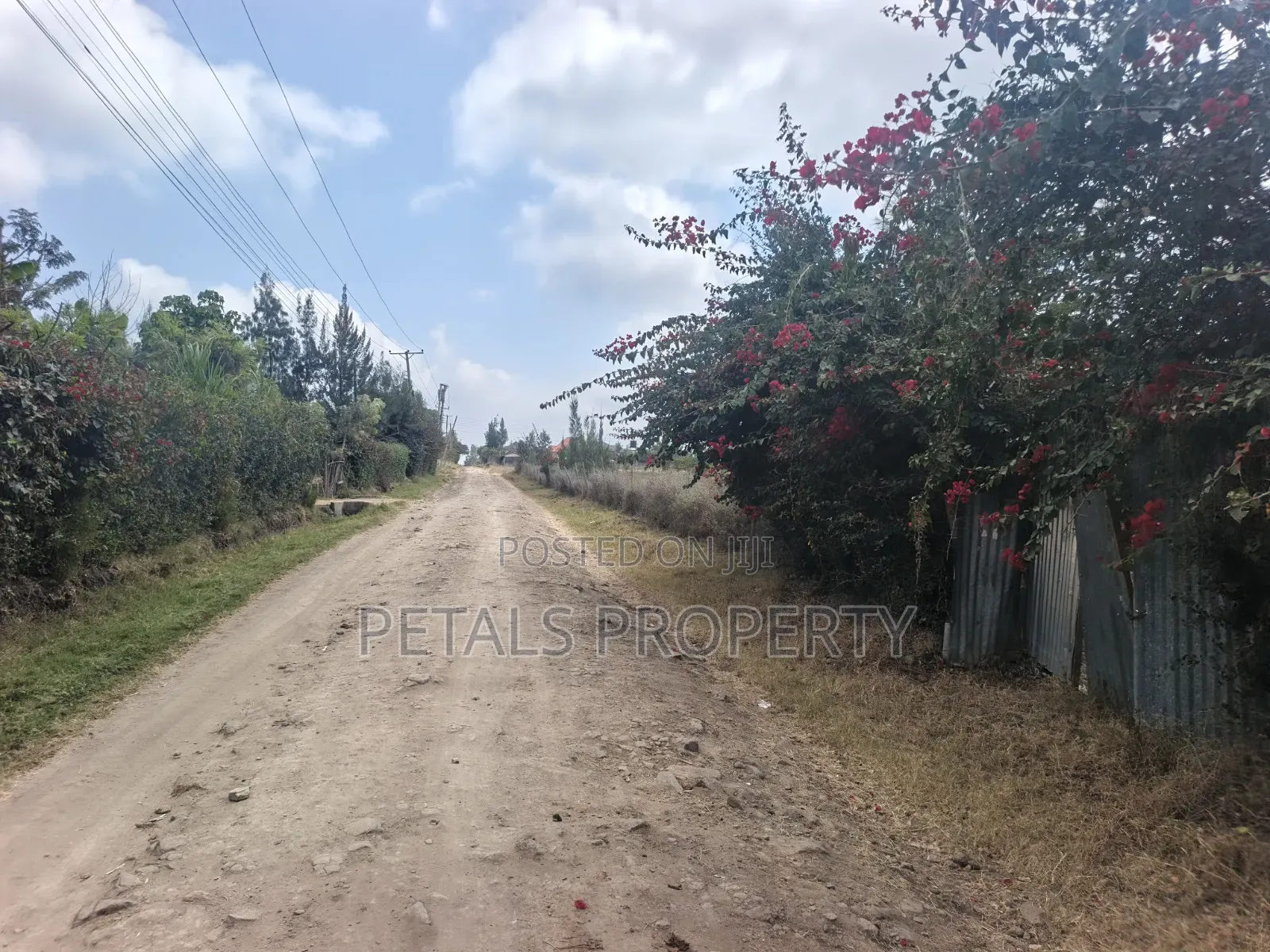 50*100 Plots for Sale in Ongata Rongai, Metropolitan Rangau