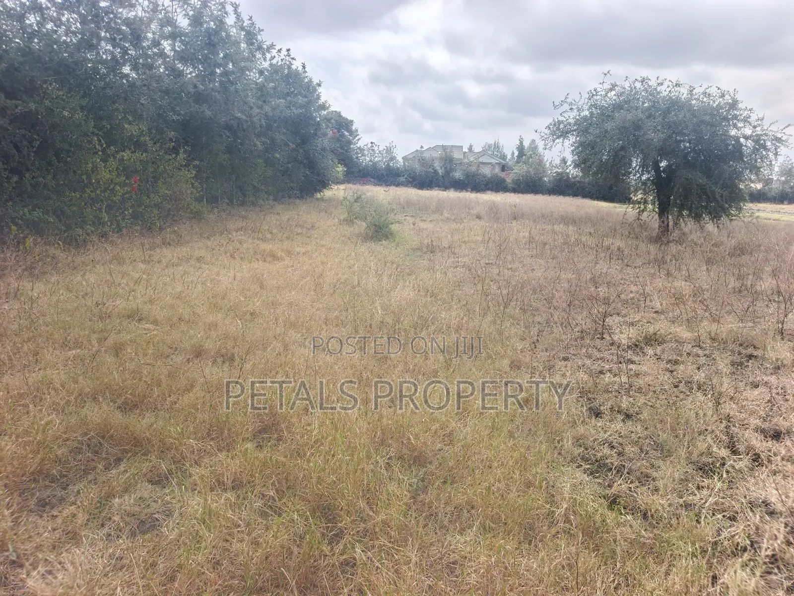 50*100 Plots for Sale in Ongata Rongai, Metropolitan Rangau