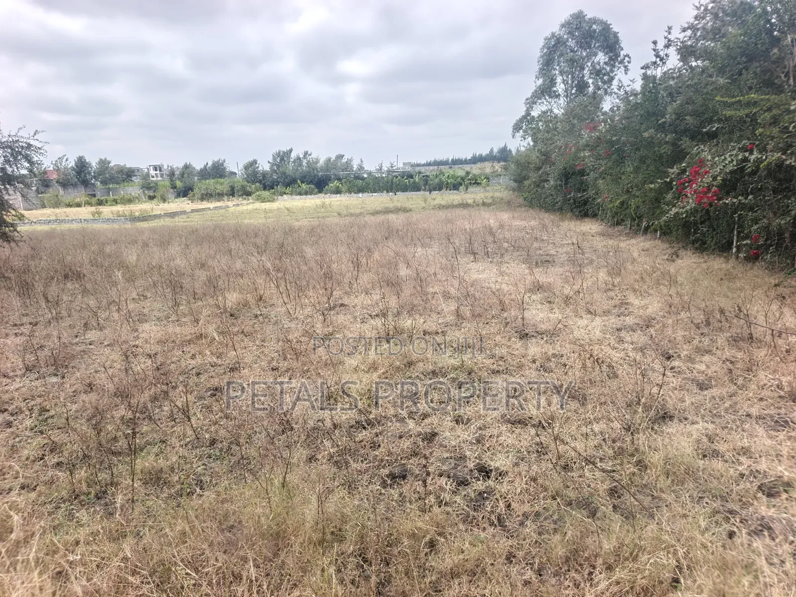 50*100 Plots for Sale in Ongata Rongai, Metropolitan Rangau