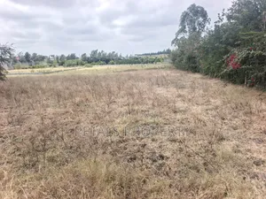 50*100 Plots for Sale in Ongata Rongai, Metropolitan Rangau