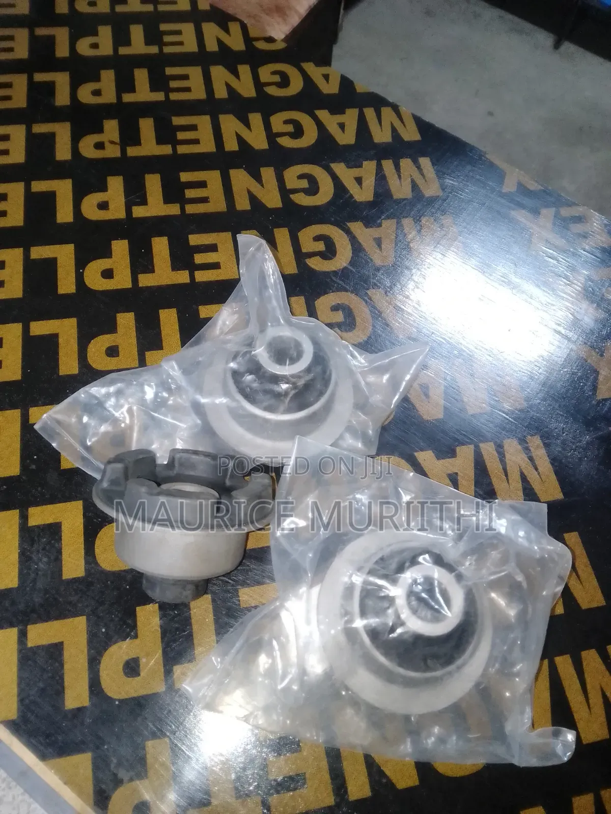 Differential Bushes Prado 95