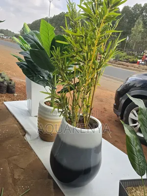 Artificial Bamboo Plant,decor in a Fiber Pot