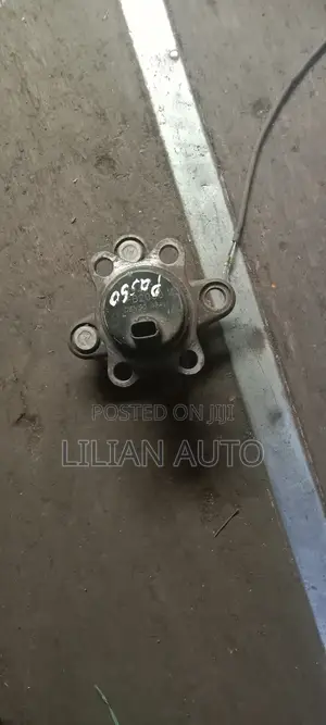 Passo Rear Wheel Hub