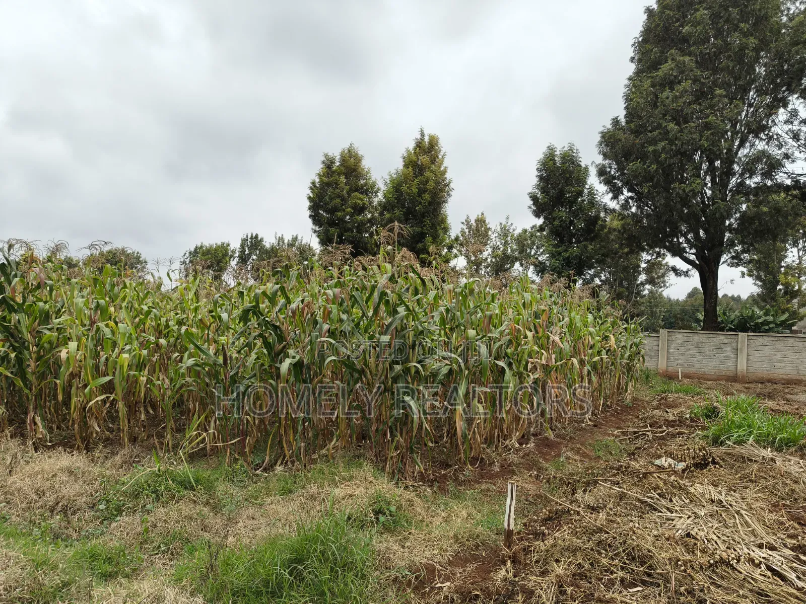 A Secure Gated Community Eighth Acre Plot for Sale in Ondiri, Kikuyu