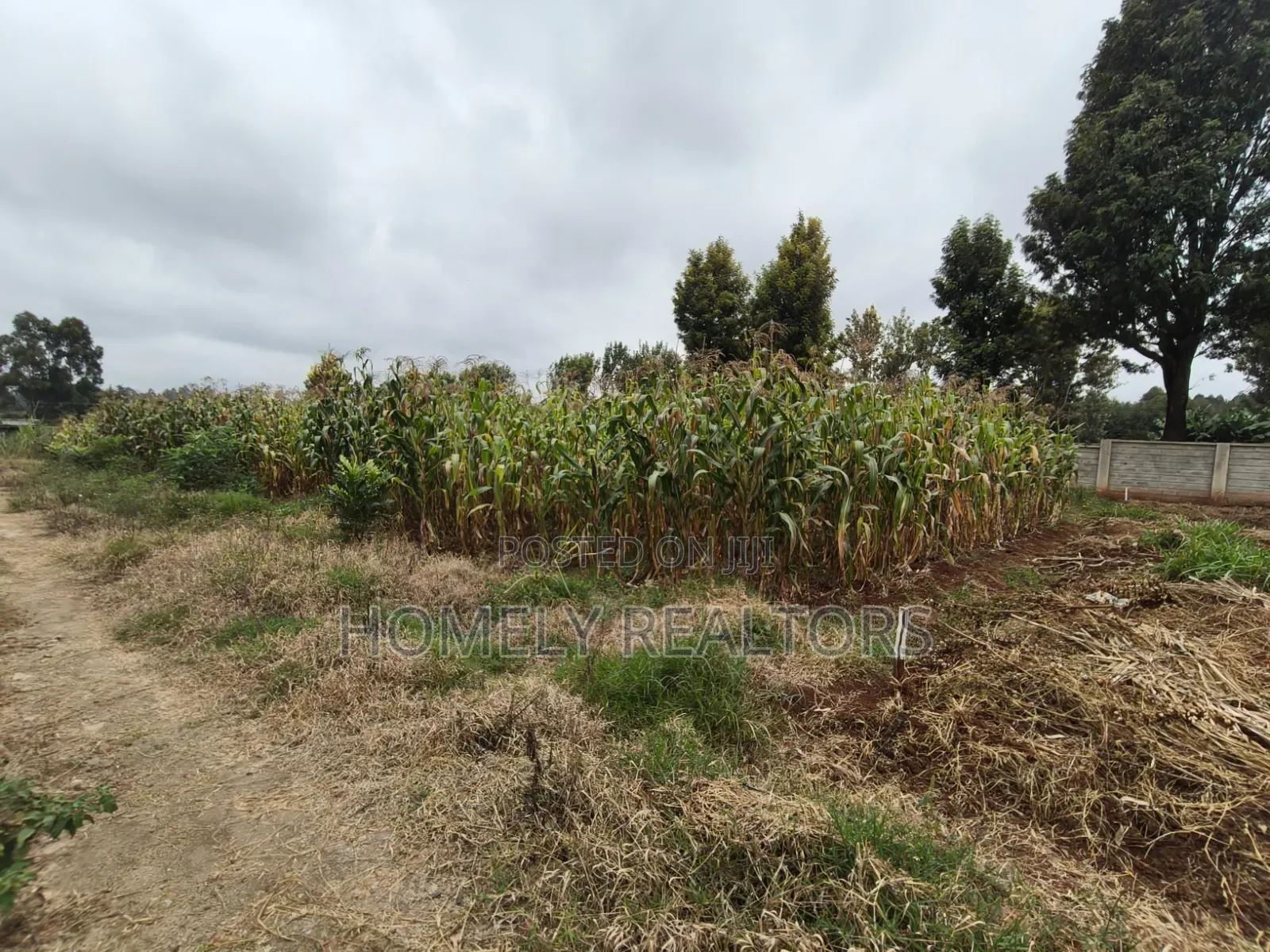 A Secure Gated Community Eighth Acre Plot for Sale in Ondiri, Kikuyu