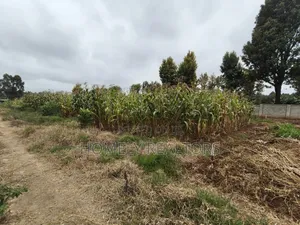A Secure Gated Community Eighth Acre Plot for Sale in Ondiri, Kikuyu