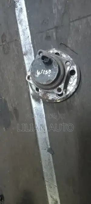 Wish Rear Wheel Hub