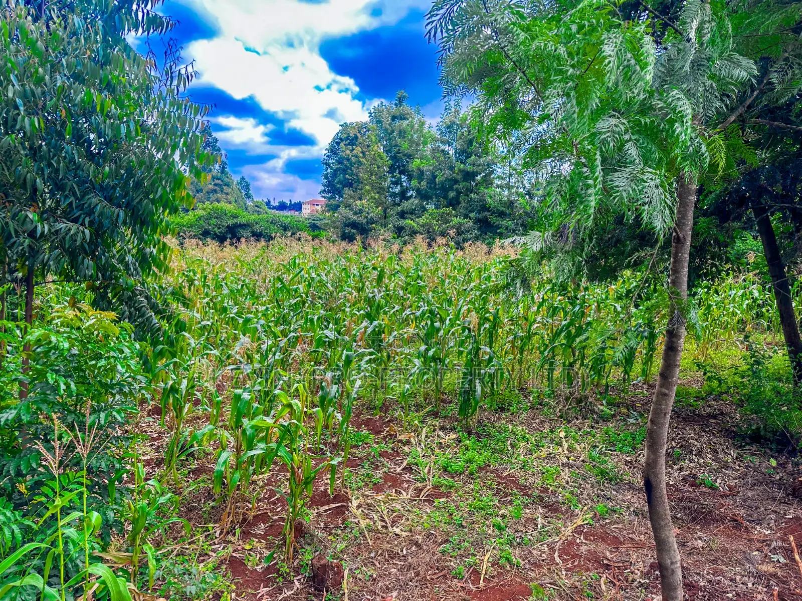Prime Mixed-Use Land for Sale in Kikuyu,Thogoto