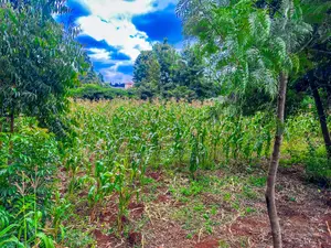 Prime Mixed-Use Land for Sale in Kikuyu,Thogoto