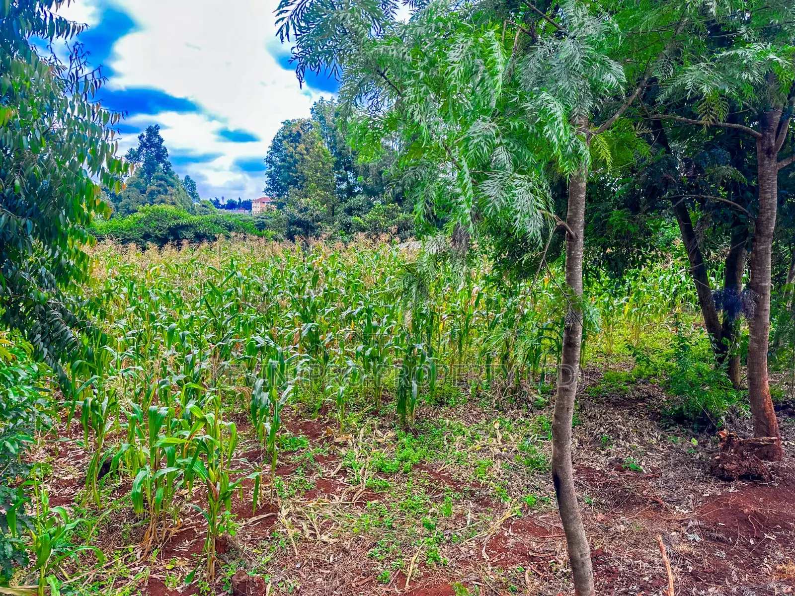 Prime Mixed-Use Land for Sale in Kikuyu,Thogoto