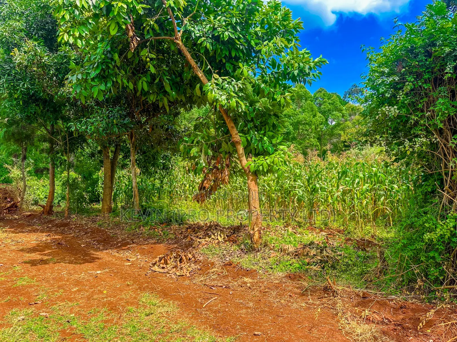 Prime Mixed-Use Land for Sale in Kikuyu,Thogoto