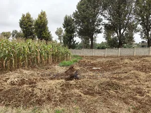 Residential 8th Acre Gated Community Plot for Sale in Kikuyu, Ondiri