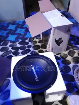 Pioneer 12inch Bass Speaker