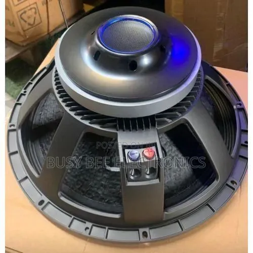 Naked Speaker 18inches Single Magnet 100coil