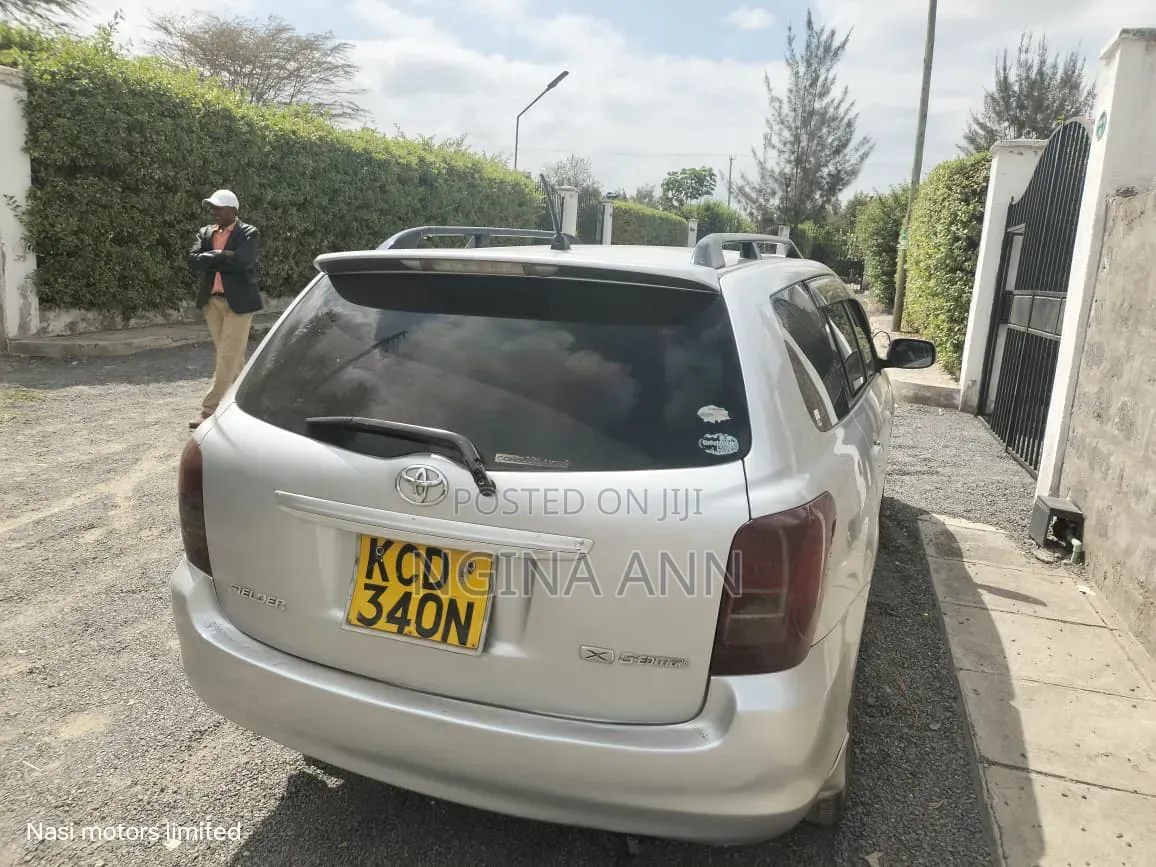 Toyota Corolla Fielder 2009 Silver