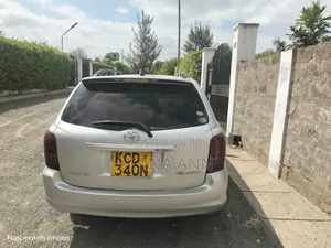 Toyota Corolla Fielder 2009 Silver