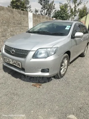Toyota Corolla Fielder 2009 Silver