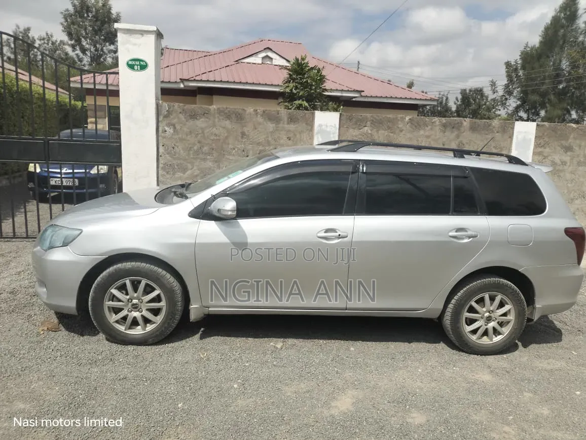 Toyota Corolla Fielder 2009 Silver