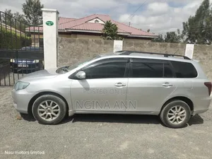 Toyota Corolla Fielder 2009 Silver