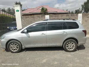 Toyota Corolla Fielder 2009 Silver