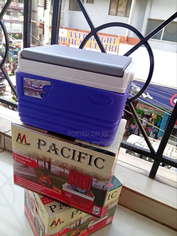 4.5L Portable Cooler Box – Mini Insulated Ice Chest for Food Drinks