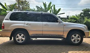 Toyota Land Cruiser 2005 Silver