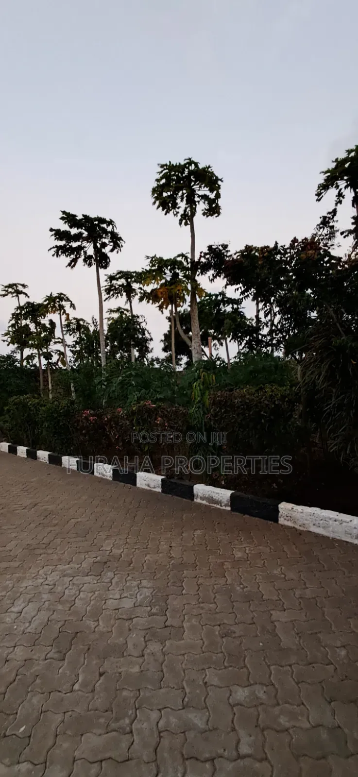3bdrm Bungalow in Tezo for sale