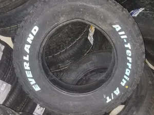 175/80r14 Everland All Terrain